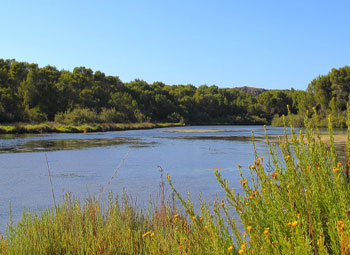 angeltourenmenorca.de Bootstouren auf Albufera des Grau Menorca