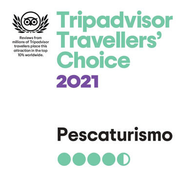 Fishingtrip Menorca wins the Travellers' Choice of Tripadvisor adward
